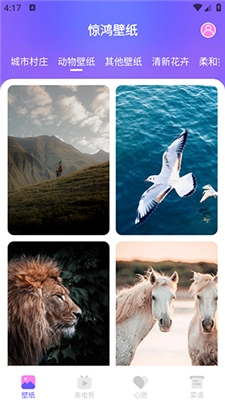 惊鸿壁纸手机版图4
