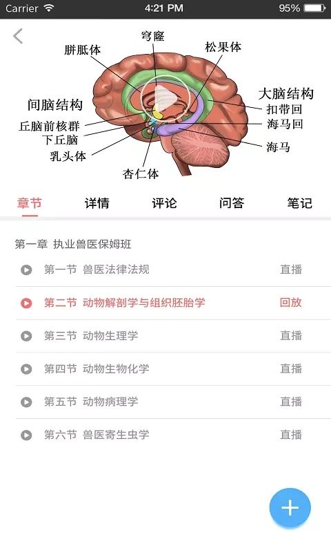 兽课网截图2