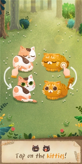 猫咪密林(3)