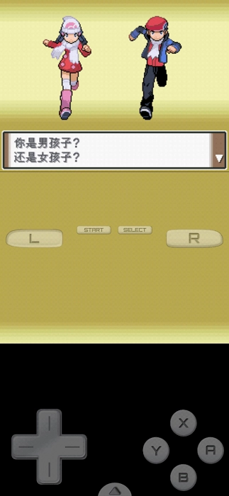 口袋妖怪白金手机版(5)