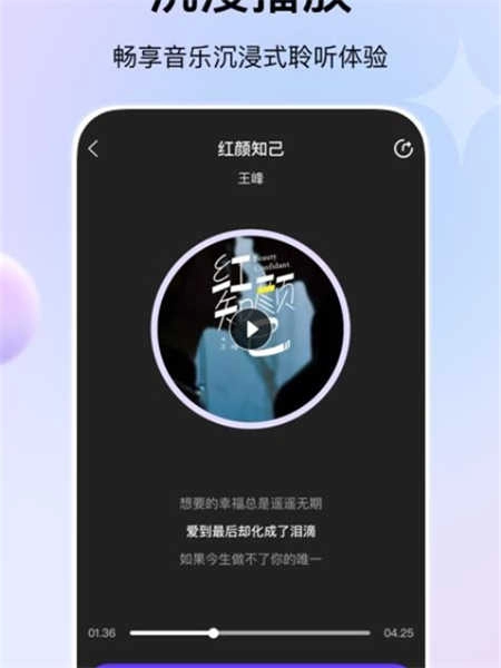 娱当家
