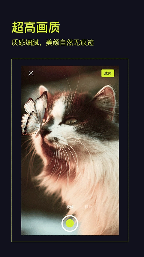 开拍action直装版图4