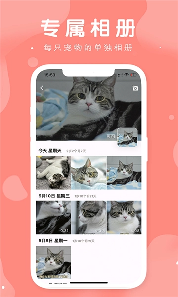 有宠手机正版图4