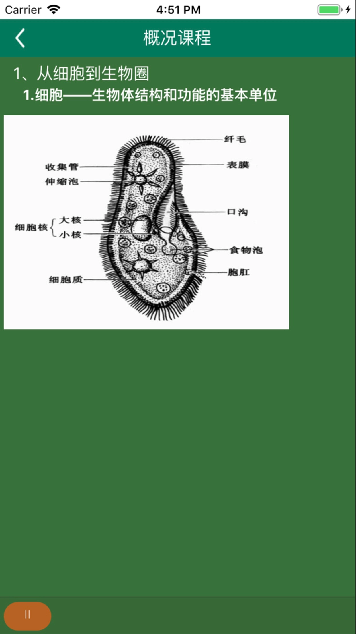 松鼠高中生物安卓版图2