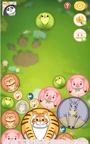 合成大熊猫游戏红包版图5