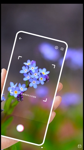拍照识别植物最新版图2