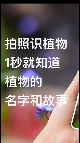 拍照识别植物最新版图3