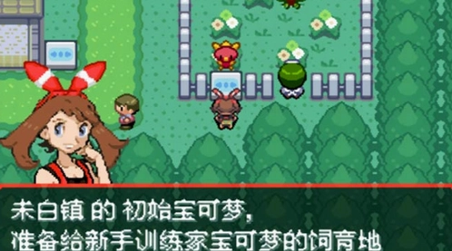 口袋妖怪究极绿宝石最新版图2