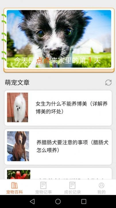 宠物点点最新版图1