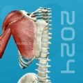 3D肌肉解剖无广告版