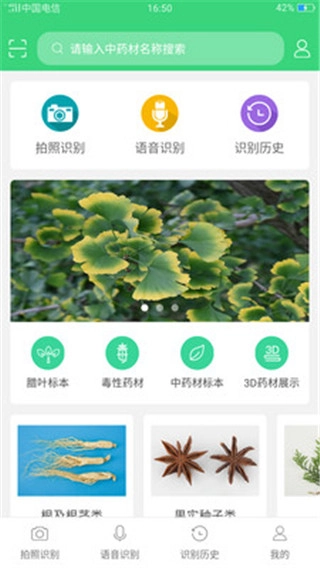 照药镜直装版图4