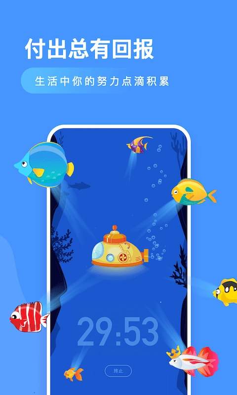 小鱼专注图3