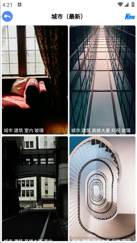 波奇壁纸免费版图3