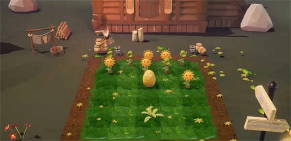 荔枝的植物世界图1