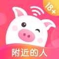 乖猪聊天交友安装