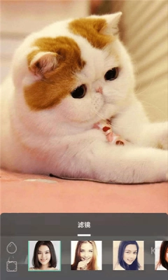 摸鱼鱼软件最新版图4