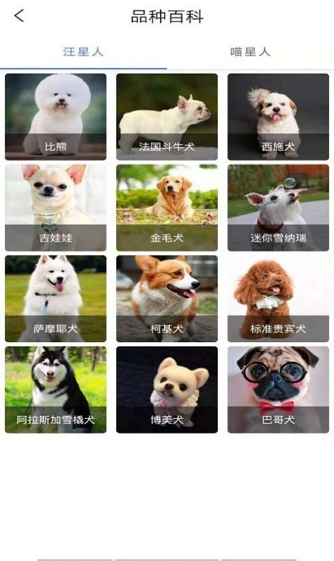 宠物知识全书手机版图4
