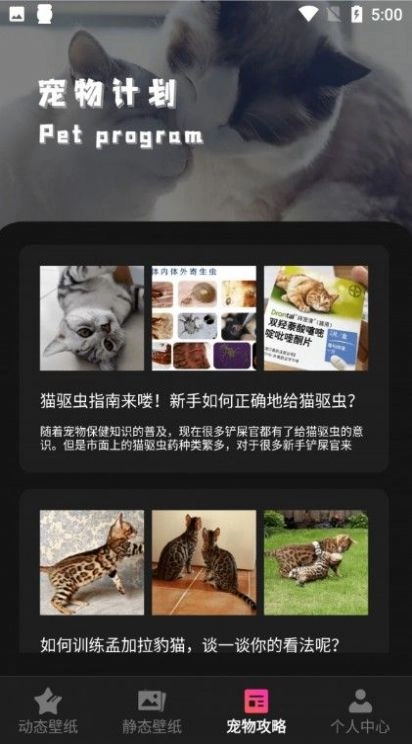 猫咪壁纸安卓版图2