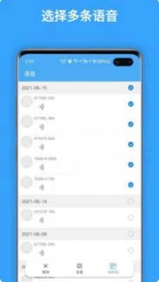聊天语音导出版图3