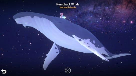 深海庭院正版-图2