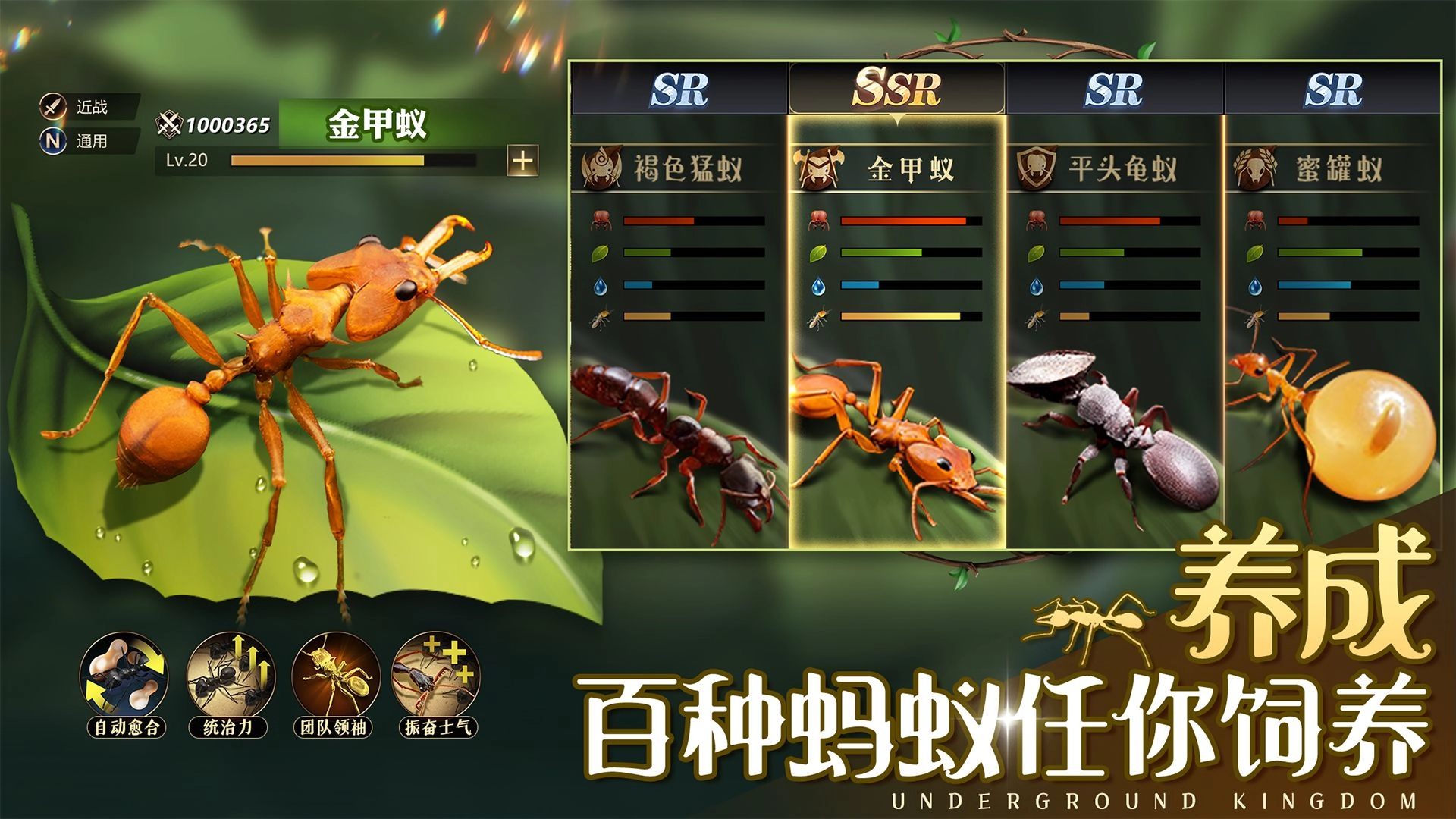 小小蚁国游戏免费安装图2