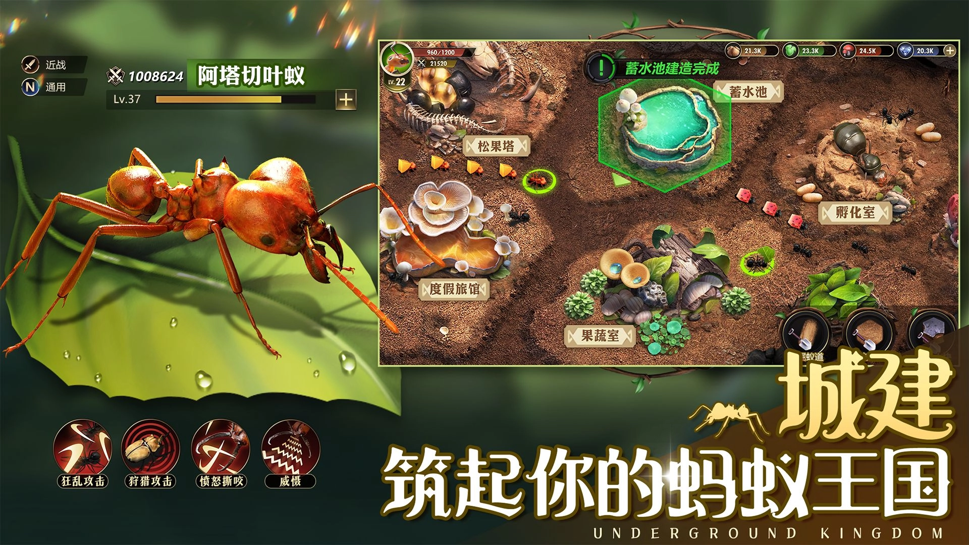 小小蚁国游戏免费安装图4