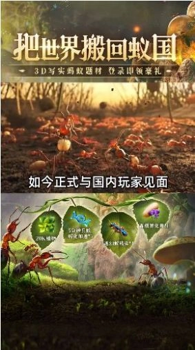 蚁族总动员最新版-图3