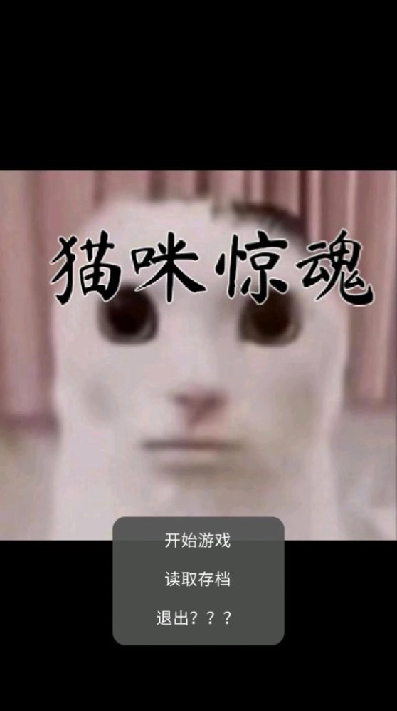 猫咪惊魂安装手机版图4