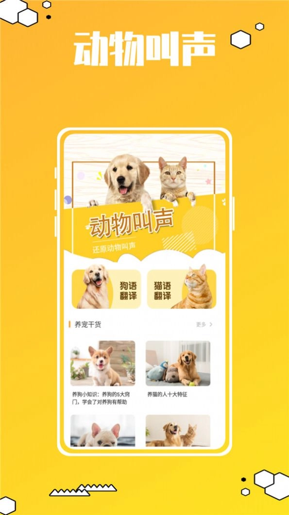动物叫声翻译器鸭最新版图3