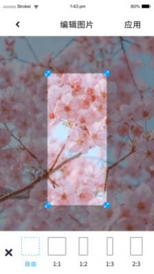 P图照片处理安卓版图4