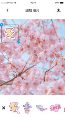 P图照片处理安卓版图3