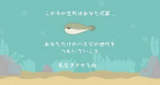 萨卡班甲鱼游戏中文版(1)