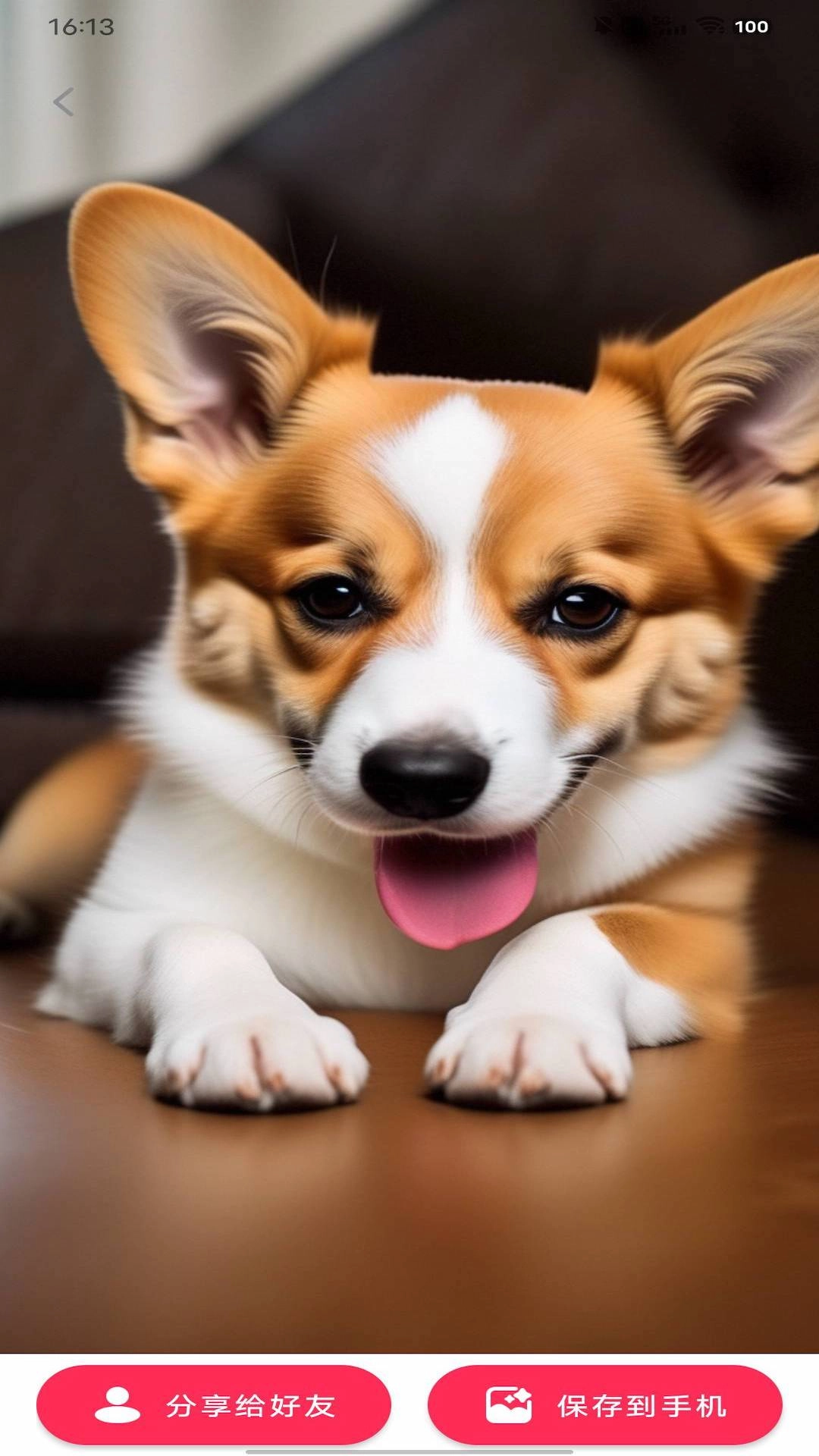 动态DIY壁纸版图2