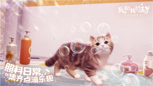 我和我的猫(1)