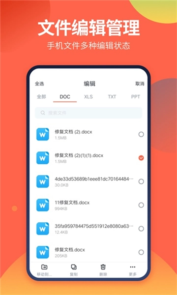 DS文件管理器原版图3