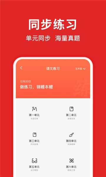 题拍拍图1