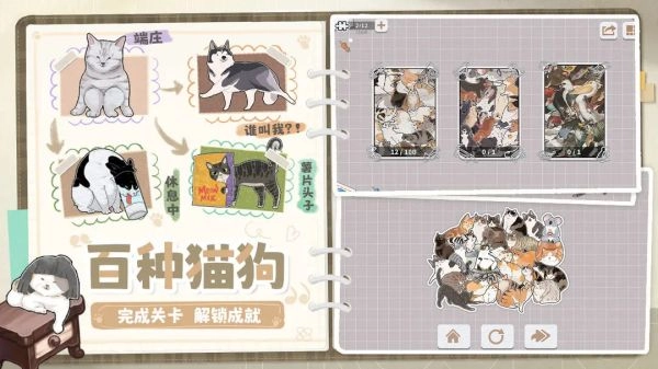 挤在一起的猫猫(2)