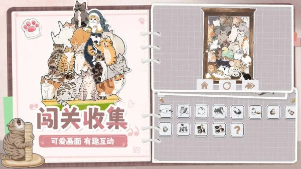 挤在一起的猫猫(3)