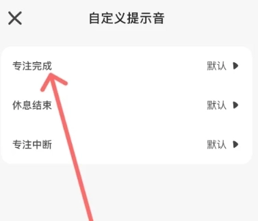 小鸡专注免费版(2)