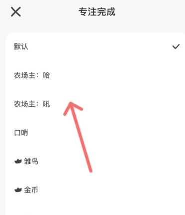 小鸡专注免费版(1)