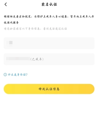 闪电龟升级版(10)