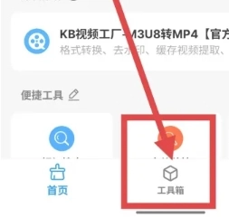 雪豹速清大师21