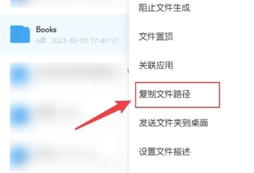 雪豹速清大师15