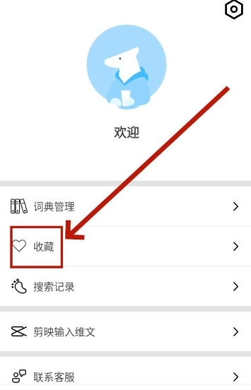 Bilik词典翻译截图1