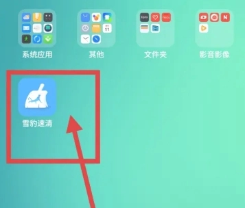 雪豹速清大师20