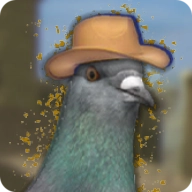 鸽子西部鸽子约翰尼