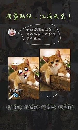萌宠相机(3)