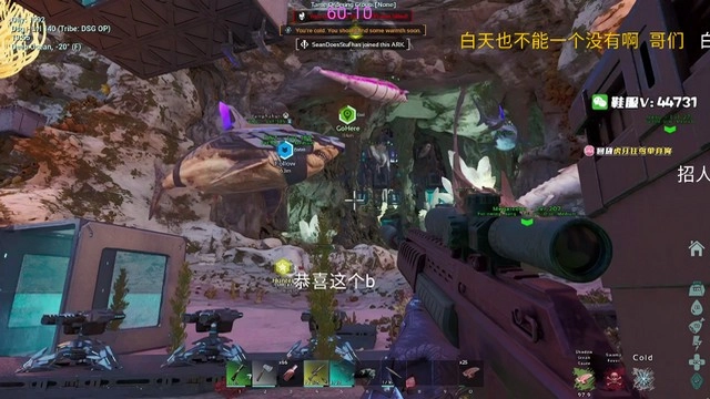 純粹直播TV電視版