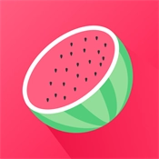 西瓜小铁盒正版