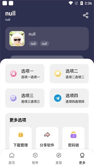 懒洋羊软件库图1